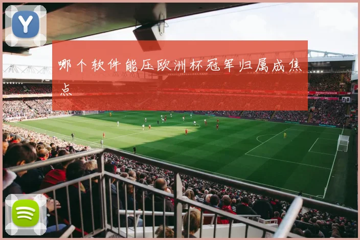 哪个软件能压欧洲杯冠军归属成焦点