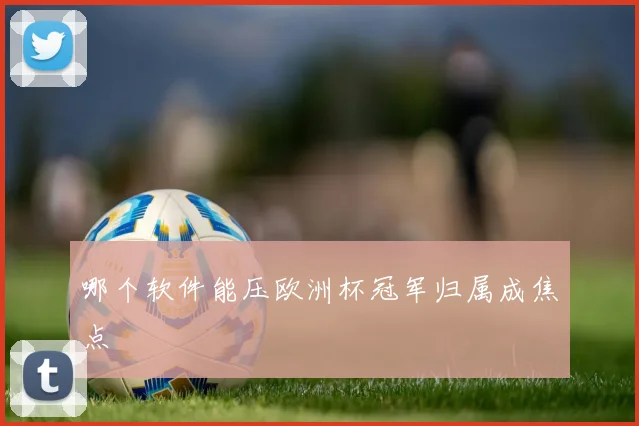哪个软件能压欧洲杯冠军归属成焦点