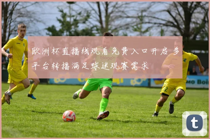 欧洲杯直播线观看免费入口开启 多平台转播满足球迷观赛需求