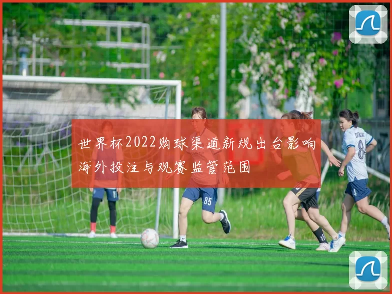 世界杯2022购球渠道新规出台影响海外投注与观赛监管范围